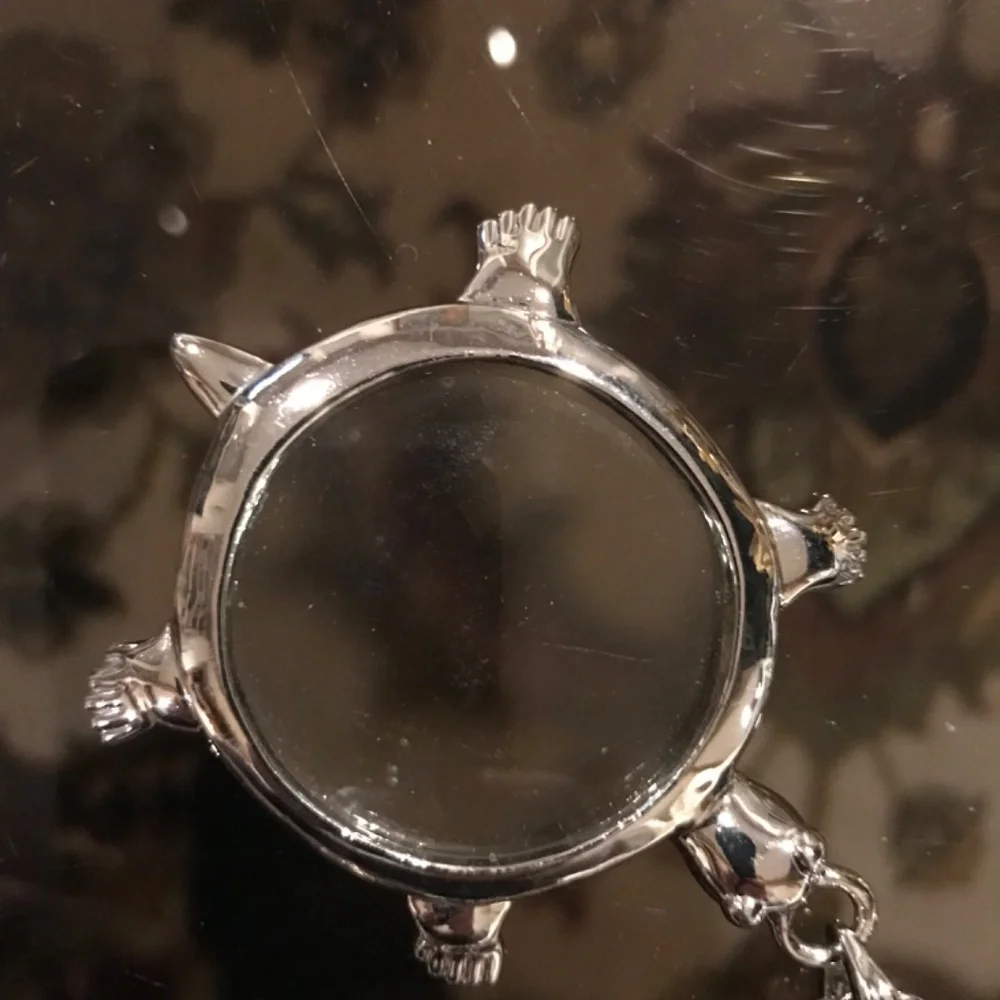 Turtle magnifying glass with a beautiful purse. - Picture 2 of 6